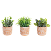 SAKSIJA SA CVECEM JA-200677